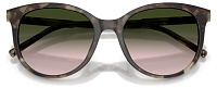 Dolce & Gabbana DG 4540 34782C