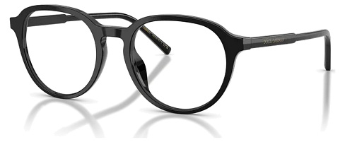 Dolce & Gabbana DG 3444 501