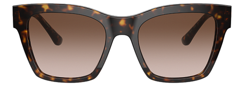 Dolce & Gabbana DG 4384 502/13