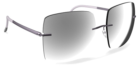 Silhouette 8191 4040