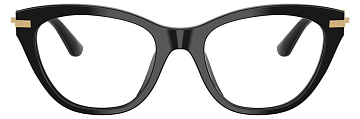 Dolce & Gabbana DG 3428 501