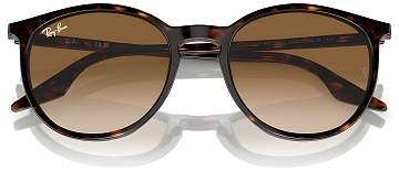 Ray-Ban RB 2204 902/51