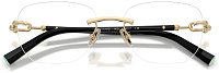 Tiffany & Co TF 1170D 6021