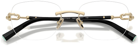 Tiffany & Co TF 1170D 6021