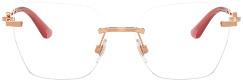 Dolce & Gabbana DG 1363 1298