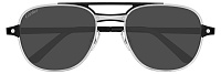 Cartier CT0477S 001