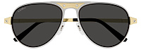 Cartier CT 0533S 001