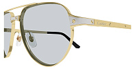 Cartier CT 0425S 006