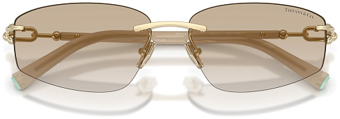 Tiffany & Co TF 3114 602111