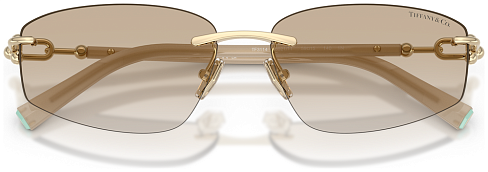 Tiffany & Co TF 3114 602111