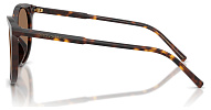 Dolce & Gabbana DG 4540 502/13