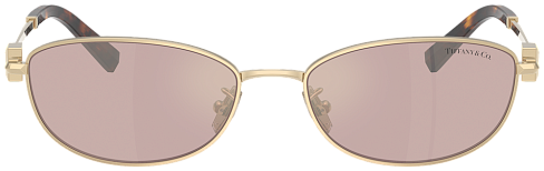 Tiffany & Co TF 3115 6189VS