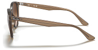 Ray-Ban RB 4305 616613