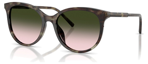 Dolce & Gabbana DG 4540 34782C