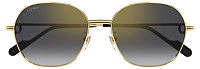 Cartier CT 0569SA 001