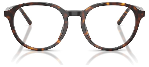 Dolce & Gabbana DG 3444 502