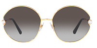 Dolce & Gabbana DG 2282B 02/8G