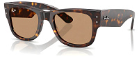 Ray-Ban RB 0840S 902/53