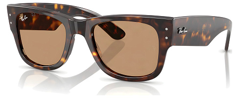Ray-Ban RB 0840S 902/53