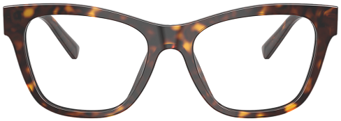 Dolce & Gabbana DG 3430 502