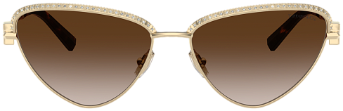 Tiffany & Co TF 3107KB 62123B