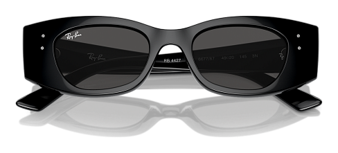 Ray-Ban RB 4427 667787