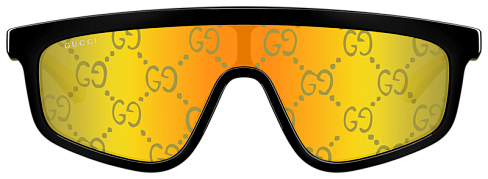 Gucci GG1736S 004