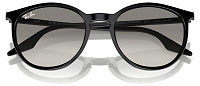 Ray-Ban RB 2204 901/32