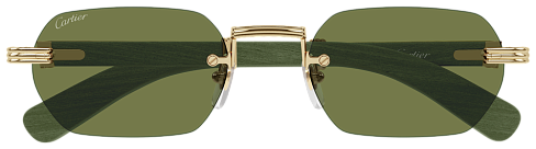 Cartier CT 0362S 006