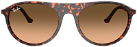 Ray-Ban RB 2215 14293B