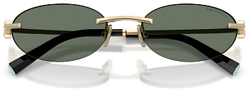 Tiffany & Co TF 3119D 623882