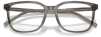 Dolce & Gabbana DG 3445 3479