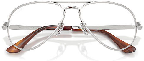 Ray-Ban RX 3925V 2501
