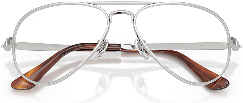 Ray-Ban RX 3925V 2501