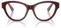 Burberry BE 2458 4119