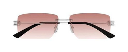 Bottega Veneta BV 1126S 007