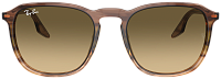 Ray-Ban RB 2203 13920A