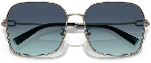 Tiffany & Co TF 3093D 60219S
