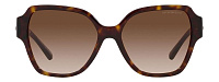 Emporio Armani EA 4202 502613