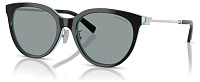 Tiffany & Co TF 4243D 8055/1