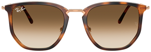 Ray-Ban RB 4451 680451