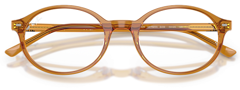 Ray-Ban RX 5429 8439