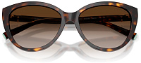 Tiffany & Co TF 4251 80153B