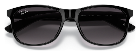 Ray-Ban RB 4202 601/8G