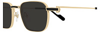 Cartier CT0497S 006, цвет: золотой, цвет линзы: серый, квадратные, металл