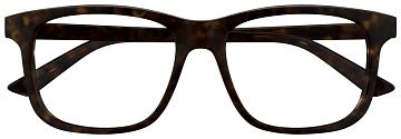 Bottega Veneta BV1316O 002