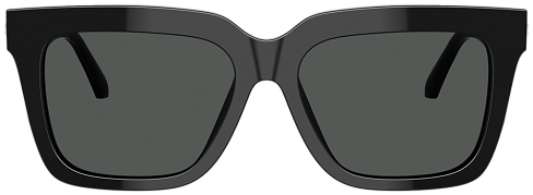 Versace VE 4498 GB1/87