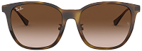 Ray-Ban RB 4333D 710/13