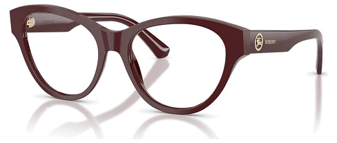 Burberry BE 2458 4119