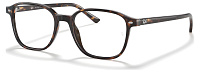 Ray-Ban RX 5393 2012